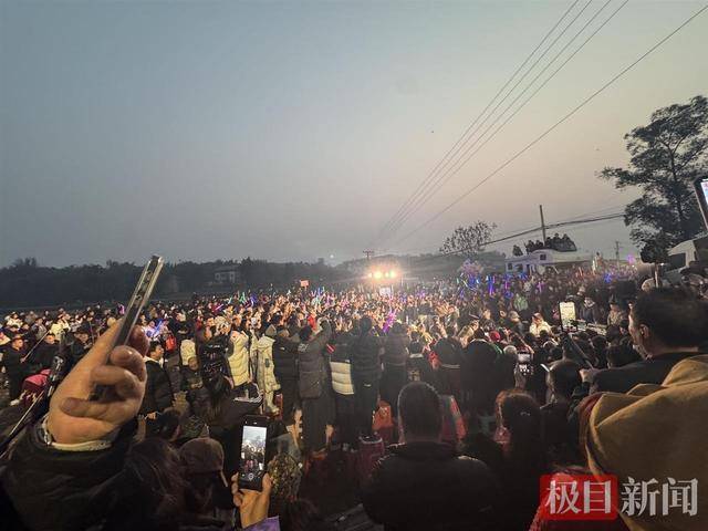 皇冠b盘_两头猪何以引发全网狂欢皇冠b盘？丨顶端观察