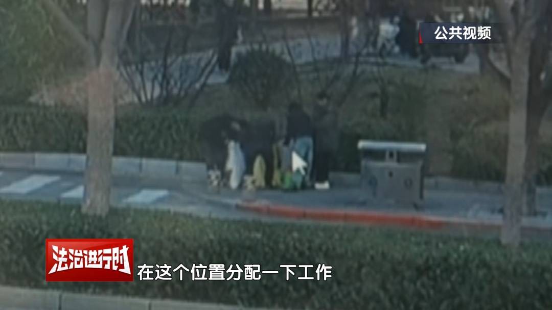 皇冠信用网代理
_北京警方刑拘4人:父亲带着儿子和女儿“扫楼式盗窃快递”