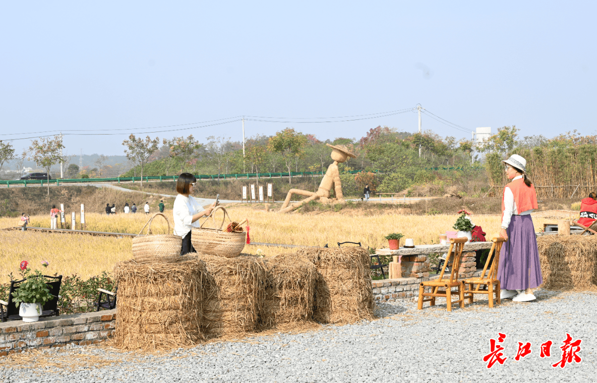 信用网如何申请_没怎么喝过咖啡的老王信用网如何申请，在稻田里开了家很火的咖啡馆